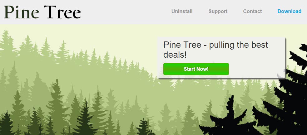 pine tree