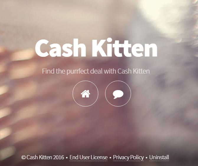cash kitten ads